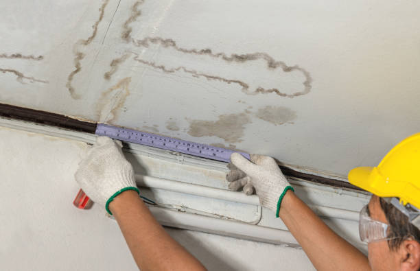 Reliable Mold Remediation contractor in Rosman, NC by Water Damage Irwin